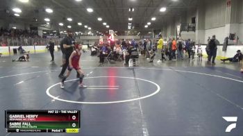 58 lbs Champ. Round 2 - Sabre Fall, Chippewa Hills Youth vs Gabriel Herfy, Redhawks WC (Troy)