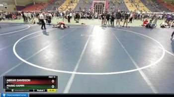 158-166 lbs Round 1 - Abram Davidson, IL vs Mario Hamm, IA