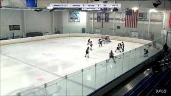 Replay: Home - 2023 NY Islanders 12U (G) vs Ice Cats U12 | Nov 12 @ 6 AM