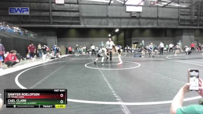 88 lbs Semifinal - Sawyer Roelofsen, CK Young Lions vs Cael Clark, SlyFox Wrestling Academy