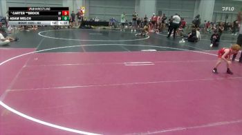 60 lbs Quarterfinal - Carter **Brock, Panhandle Pitbulls vs Adam Welch, Blackhive