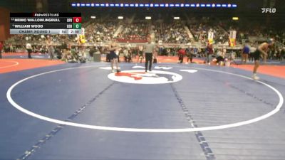 3A-126 lbs Champ. Round 1 - Neimo Wallowlingbull, Burns/Pine Bluffs vs William Wood, Cody