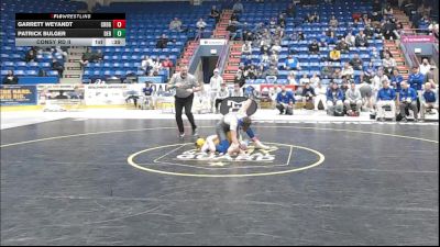 114 lbs Consy Rd Ii - Garrett Weyandt, Chestnut Ridge vs Patrick Bulger, Derry Area