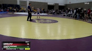 80 lbs Semis (4 Team) - Merrick Aus, Quad County vs Keen Dahlheimer, Brainerd