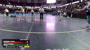 98 lbs Champ. Round 2 - Brigg Morrill, Meridian vs Anthony Pasta, Timberline