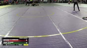 D3-150 lbs Champ. Round 1 - Anthony D`Ambrosio, Imlay City HS vs Drew Alward, Durand Area HS