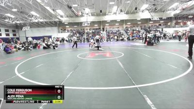 149 lbs Semifinal - Alex Pena, Wayland Baptist (Texas) vs Cole Ferguson, Grand View (Iowa)