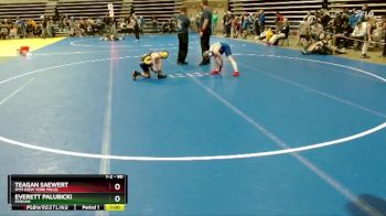 90 lbs Semifinal - Everett Palubicki, Perham vs Teagan Saewert, NYM (New York Mills)