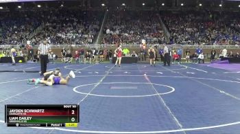 D2-138 lbs Quarterfinal - Jayden Schwartz, Charlotte HS vs Liam Dailey, Greenville HS