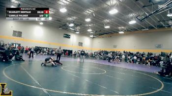 140 lbs Cons. Round 2 - Scarlett Gentille, O`Fallon (H.S.) vs Camille Palmer, Lafayette Wildwood