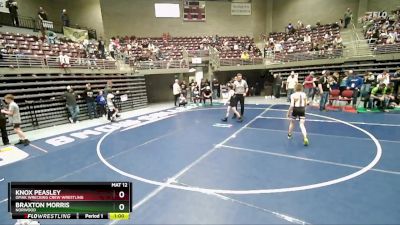 75 lbs Quarterfinal - Knox Peasley, Omak Wrecking Crew Wrestling vs Braxton Morris, Norwood