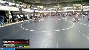 171 lbs Cons. Round 3 - Luke St. Peter, Denmark Wrestling Club vs Hector Pintor, Marathon