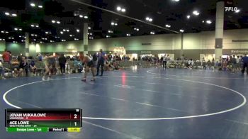 132 lbs Placement Matches (8 Team) - Jovan Vukajlovic, Longwood vs Ace Lowe, Ohio Titans Gray