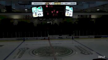 Replay: Home - 2023 Tigers vs Cougars | Nov 6 @ 6 PM