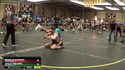 138 lbs Finals (8 Team) - Attilia Vigilante, Triumph WC vs Nicholas Bastante, Olympic Gold