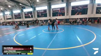 144-150 lbs Round 3 - Cash Proctor, Texas Eagle Wrestling Academy vs Ali Civelek, Sugarland Sports Center Wrestling