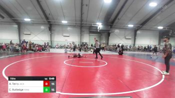 75 lbs Rr Rnd 3 - Anderson Terry, Jackson County Wrestling Club vs Cash Rutledge, Tomahawk Wrestling Club