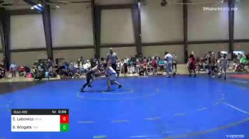 91 lbs Consolation - Christopher Labowicz, Social Circle USA Takedown vs Sawyer Wingate, Trion Mat Dogs