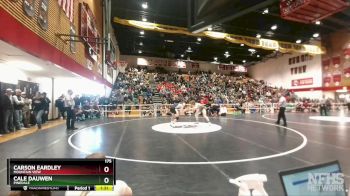 175 lbs Semifinal - Carson Eardley, Mountain View vs Cale Dauwen, Pinedale