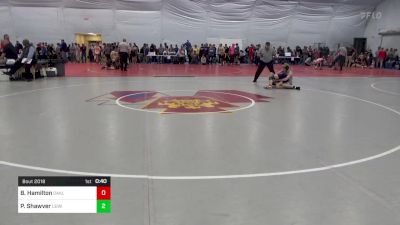 125 lbs Round Of 16 - Bradly Hamilton, Oakland vs Paxton Shawver, Lewistown