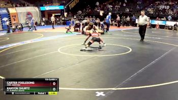 113 Class 3 lbs Quarterfinal - Carter Foglesong, Carl Junction vs Kanyon Shurtz, Ft. Zumwalt South