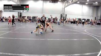 80-84 lbs Round 2 - Logan Rang, Steller Trained vs Lukas Cala, DarkHorse