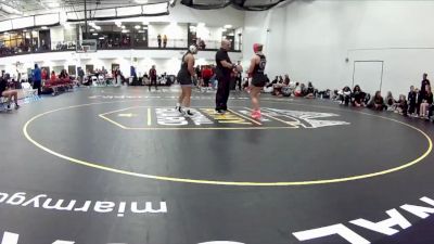 160 lbs Round 4 (16 Team) - Haylie Briscoe, Delaware State University vs Makyah Newlun, West Liberty University