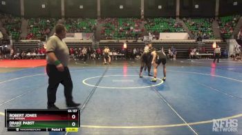 6A 157 lbs Quarterfinal - Drake Pabst, Pell City vs Robert Jones, Mae Jemison