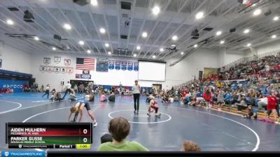 100 lbs Cons. Round 2 - Parker Gusse, Douglas Middle School vs Aiden Mulhern, McCormick Jr. High