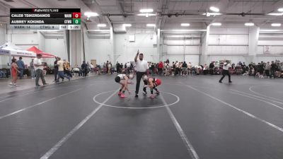 84 lbs Round 2 (8 Team) - Caleb Tsikerdanos, Warhawks vs Aubrey Kokinda, CTWHALE Green