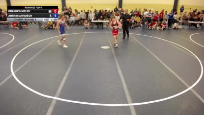 165 lbs Champ. Round 2 - Brayden Melby, MN vs Abram Davidson, IL