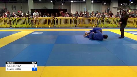 THOMAS L. MONTOYA vs SHANNON AMIL HORN 2024 American National IBJJF Jiu-Jitsu Championship