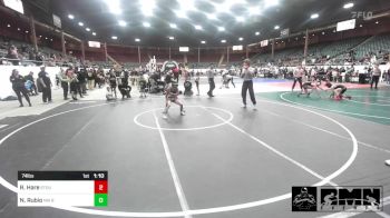 74 lbs Rr Rnd 1 - Ryan Hare, Stout Wrestling Academy vs Nicholas Rubio, NM Beast