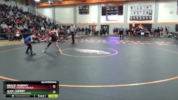 100 lbs Quarterfinal - Grace Murphy, Epworth, Western Dubuque vs Alex Cherry, Cedar Rapids Washington