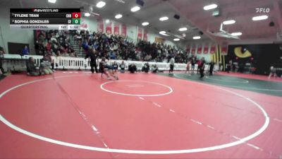 110 lbs Quarterfinal - Tylene Tran, Centennial (NV) vs Sophia Gonzales, Clovis East