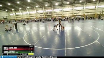 46 lbs Cons. Round 4 - Mack Probst, Wasatch Wrestling Club vs Beau Sorenson, Ravage