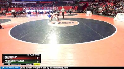 1A 145 lbs 3rd Place Match - Blue Bishop, Herrin (H.S.) vs Augie Christiansen, Princeton