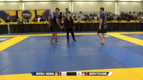 Brayden J. Vaughan vs Quentin Tyler Adams 2024 World IBJJF Jiu-Jitsu No-Gi Championship