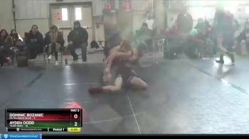 88 lbs Round 3 (6 Team) - Dominic Bozanic, PA Alliance Blue vs Ayden Dodd, Team Ohio