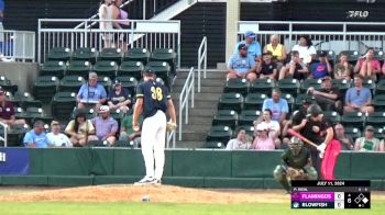 Replay: Home - 2024 Flamingos vs Blowfish | Jul 11 @ 7 PM