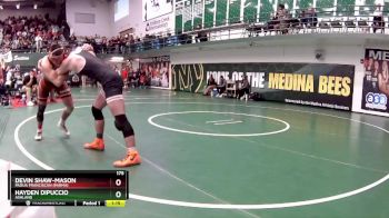175 lbs Champ. Round 3 - Devin Shaw-Mason, Padua Franciscan (Parma) vs Hayden Dipuccio, Ashland