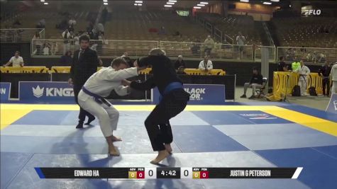 Justin G Peterson vs Edward Ha 2025 Pan Jiu Jitsu IBJJF Championship