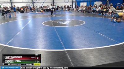 Elite 149 lbs Cons. Round 2 - Kameron Hanel, Augustana (IL) vs Mikey Rodriguez, Augustana (IL)