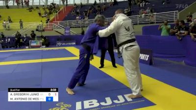 ADRIANO GREGORINI JUNIOR vs MARCO ANTONIO DE MESQUITA CRUZ 2024 Brasileiro Jiu-Jitsu IBJJF