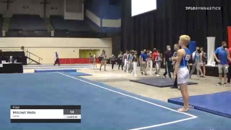 Mitchell Wells - Floor, Danik - 2021 USA Gymnastics Development Program National Championships
