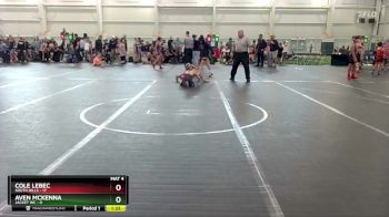 60 lbs Round 2 (6 Team) - Cole Lebec, South Hills vs Aven McKenna, Jacket WC