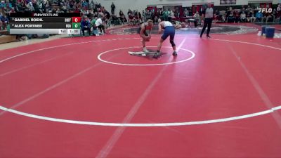 133 lbs Quarterfinal - Gabriel Roehl, Buffalo vs Alex Portner, New Ulm Area