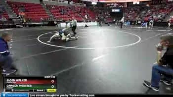 D3-182 lbs Cons. Round 1 - Jaden Walker, Markesan vs Dawson Webster, Cadott