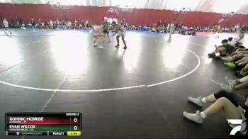 215 lbs Round 2 (16 Team) - Evan Wilcox, Lena/Bonduel vs Dominic McBride, Cameron
