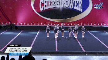 Just Cheer All Stars - Cadabra Cats [2024 L1.1 Tiny - PREP - A Day 2] 2024 Cheer Power Trenton Showdown